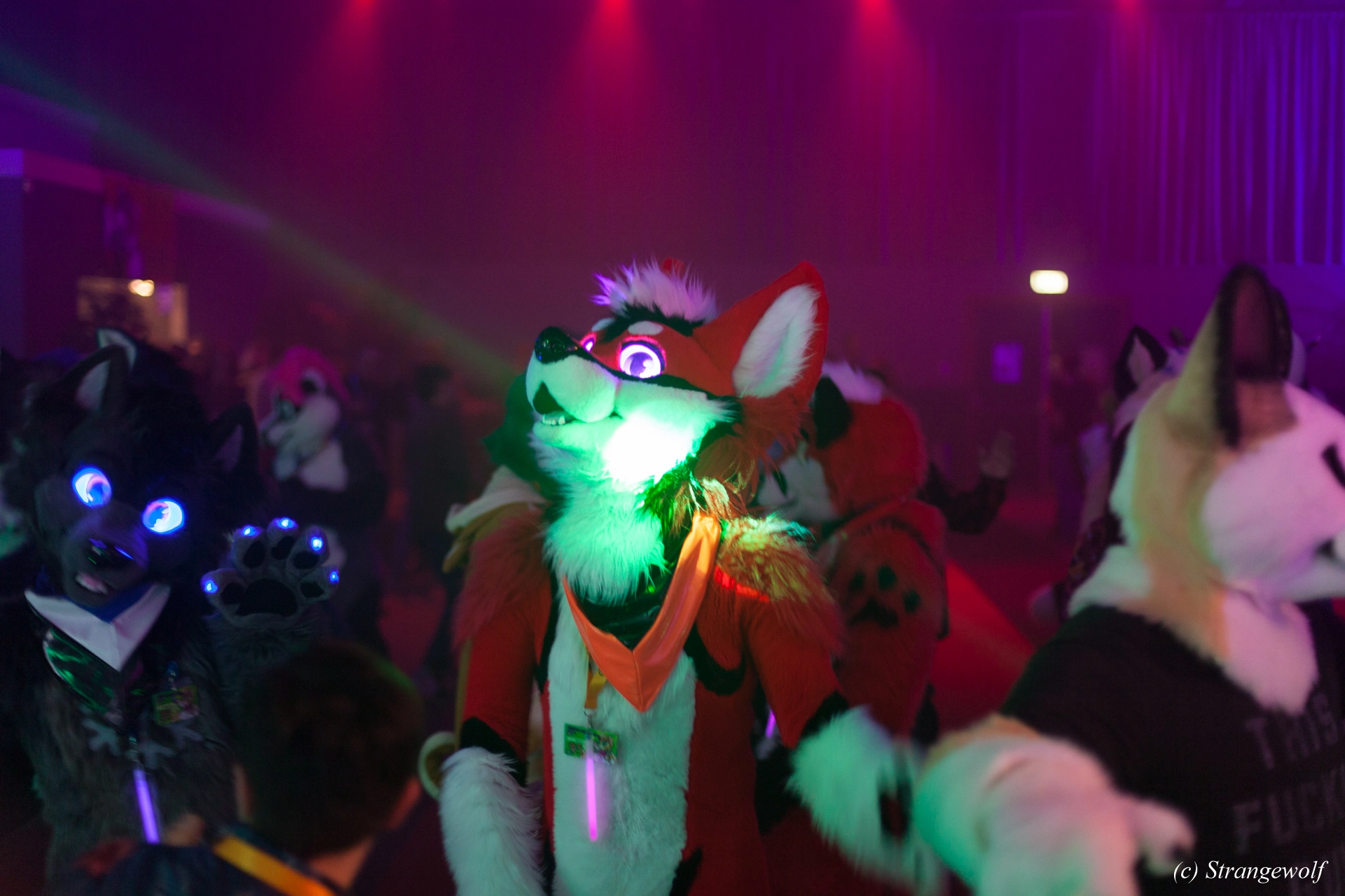 full image IMG_6860-lr19t.jpg