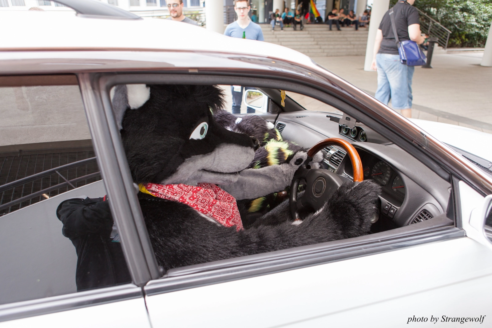 full image IMG_0166-lr16t.jpg