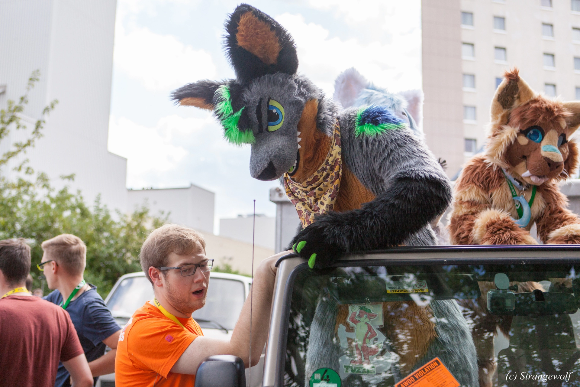 full image IMG_6922-lr19t.jpg