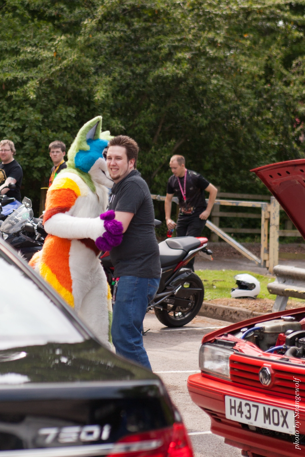 full image IMG_7191-lr16t.jpg