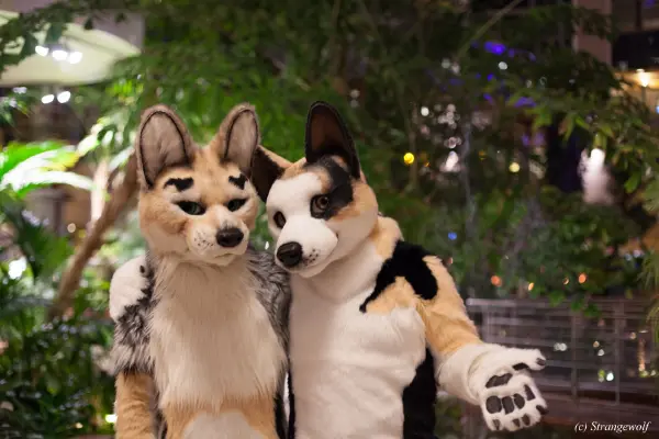 IMG_8955-lr19t.jpg of NFC/NFC2019/