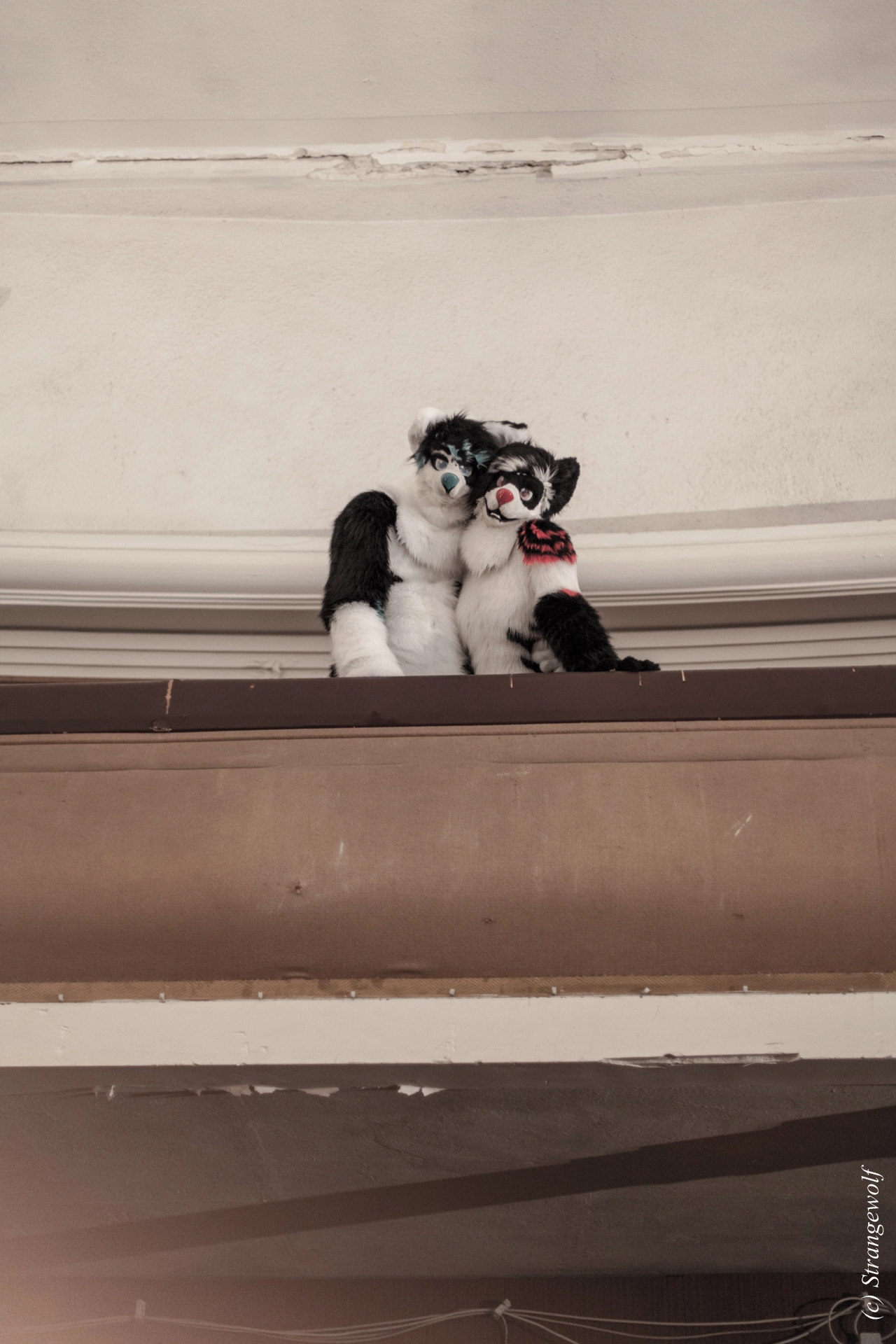full image IMG_5905-lr19t.jpg