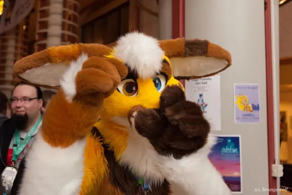 IMG_8928-lr19t.jpg of NFC/NFC2019/