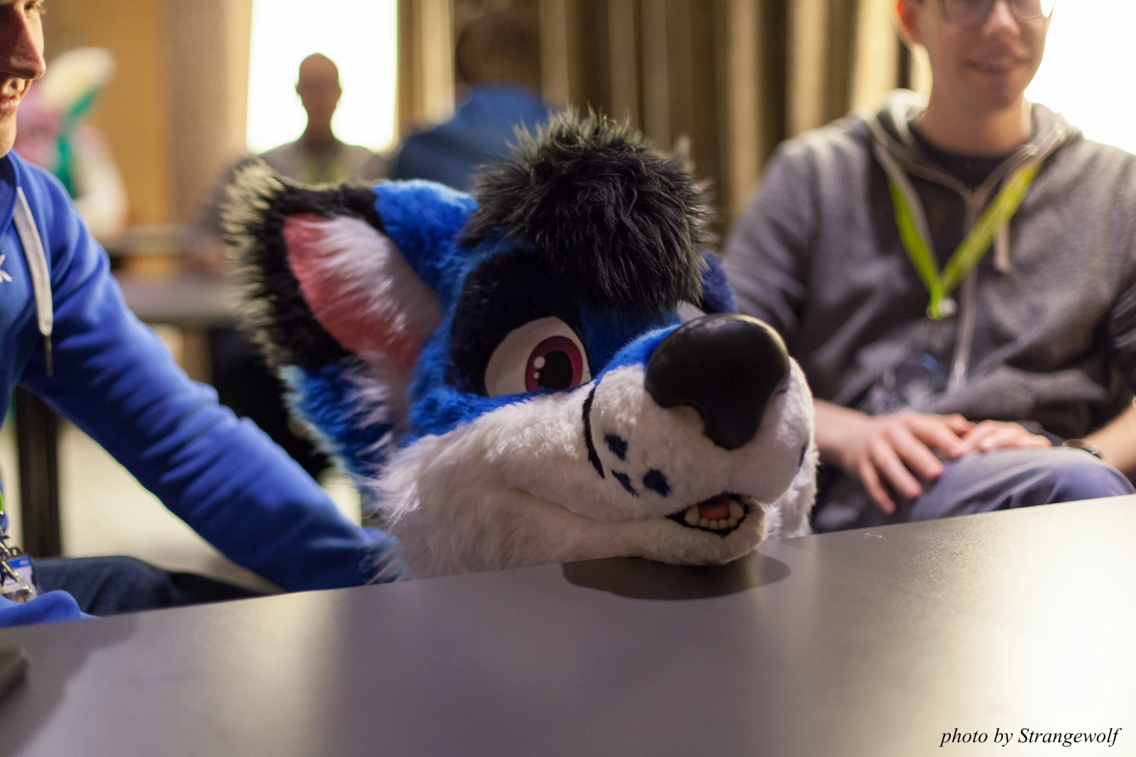 full image IMG_1578-lr16t.jpg