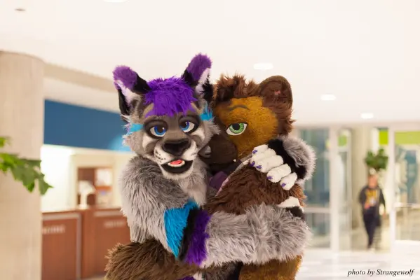 IMG_1118-lr16t.jpg of FC/FC2017/