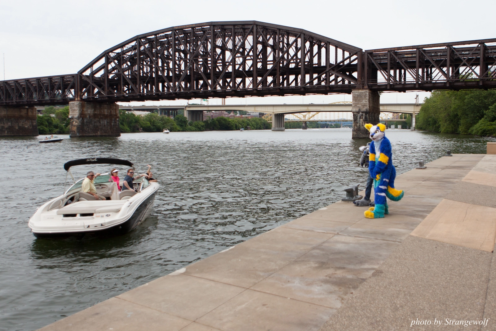 full image IMG_8307-lr16t.jpg