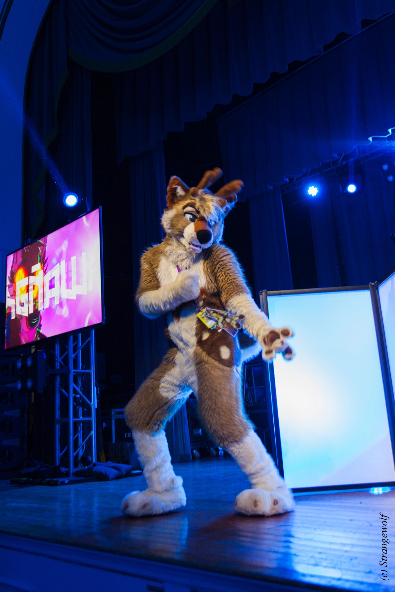 full image IMG_2868-lr19t.jpg