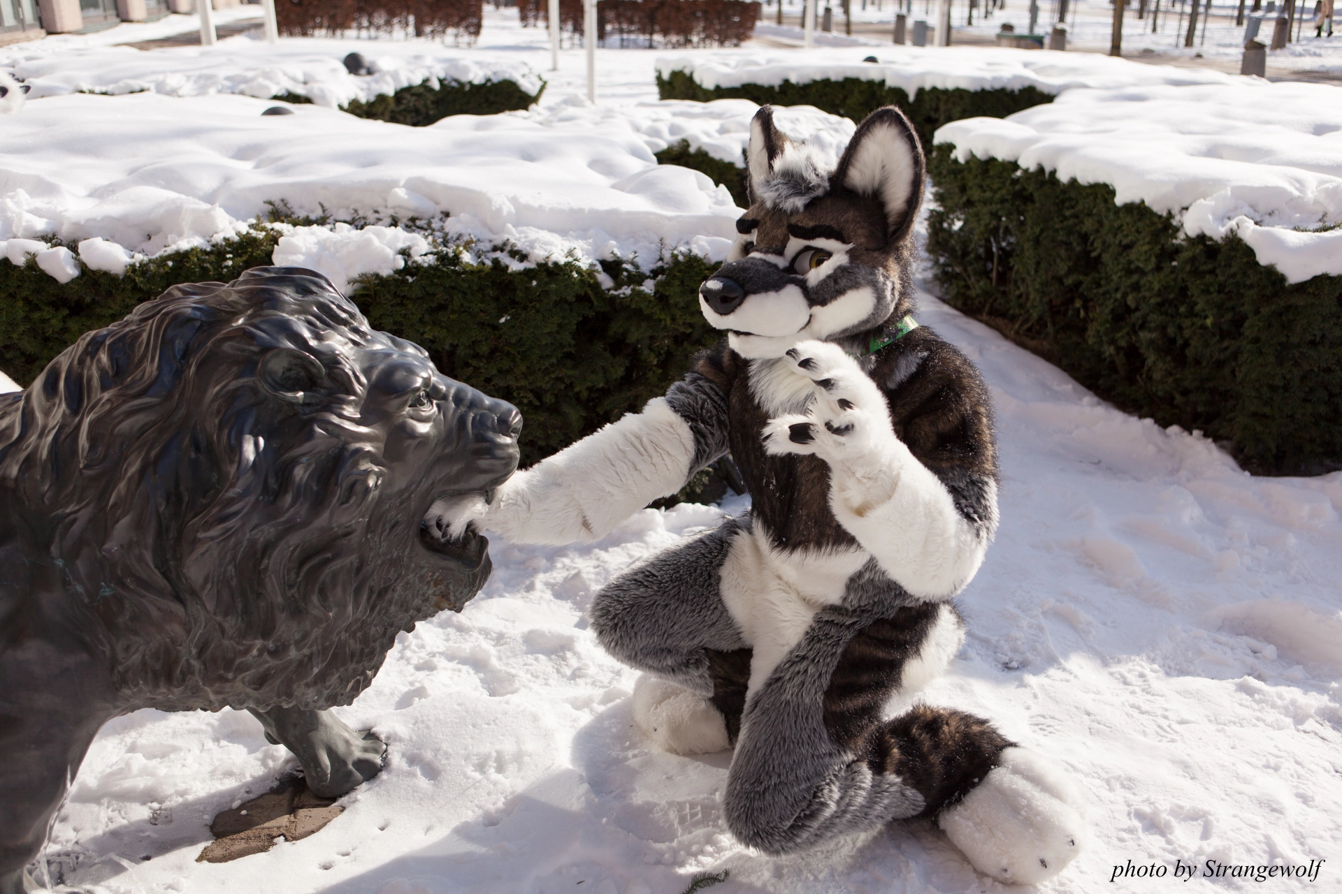 full image IMG_9597-lr19t.jpg