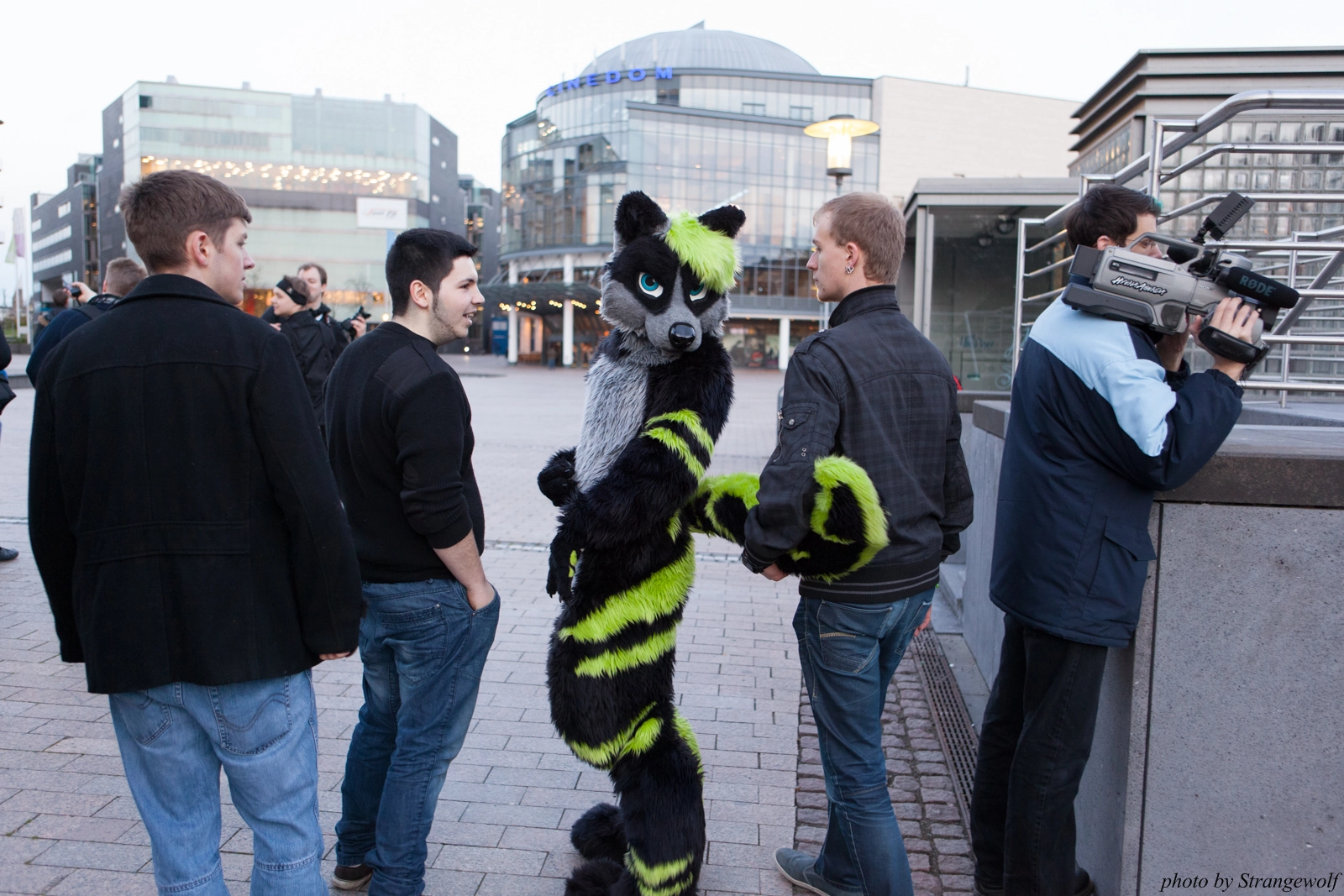 full image IMG_5385-lr16t.jpg