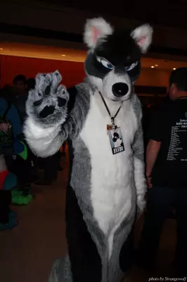 IMG_0796-lr.jpg of MFF/MFF2013/