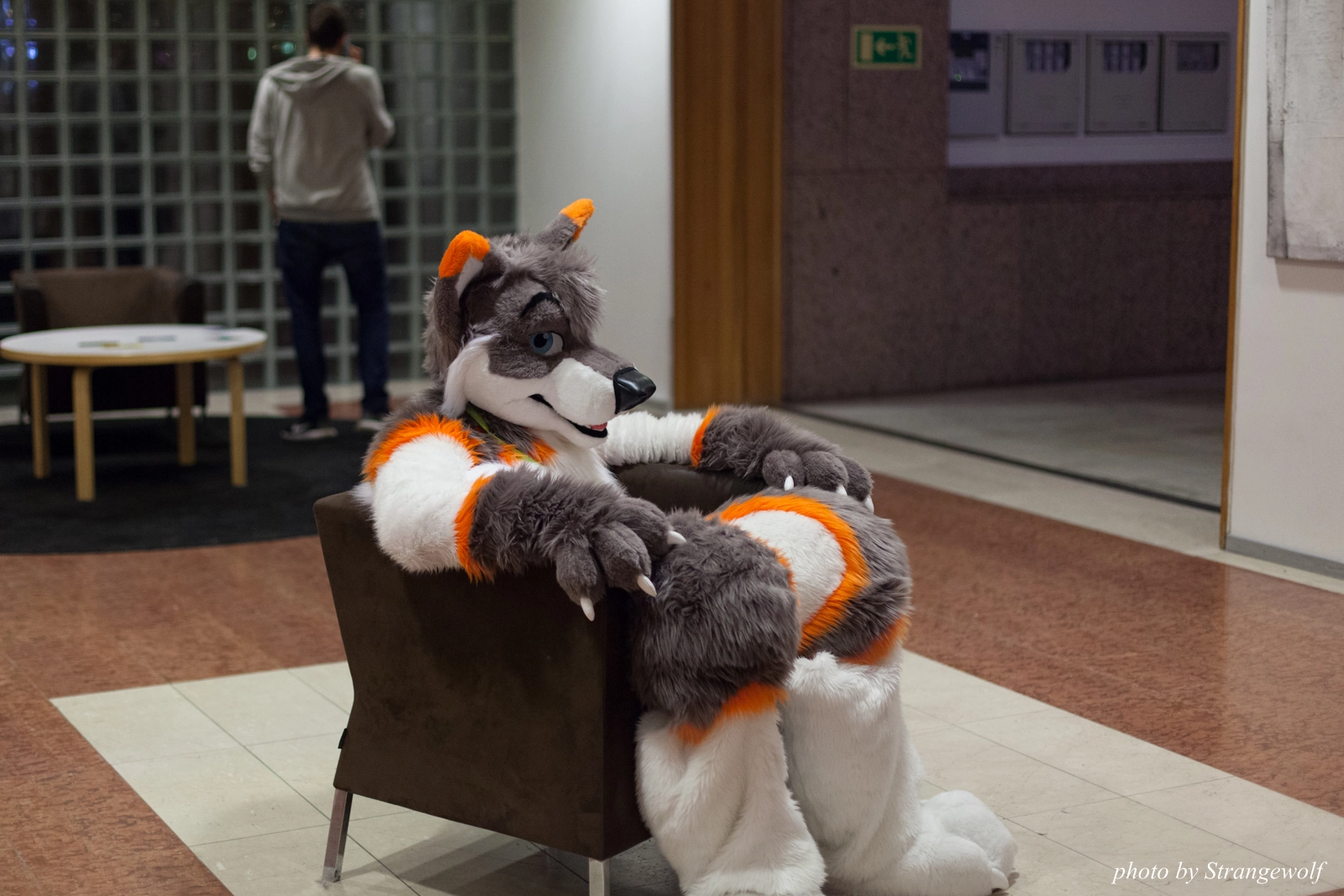 full image IMG_1604-lr16t.jpg