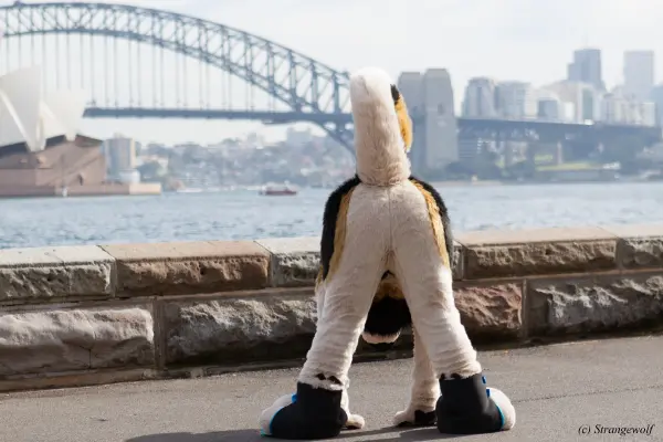 IMG_4356-lr19t.jpg of HCFC/HCFC2019/