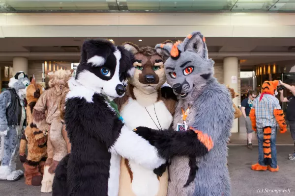 IMG_8236-lr19t.jpg of MFF/MFF2017/