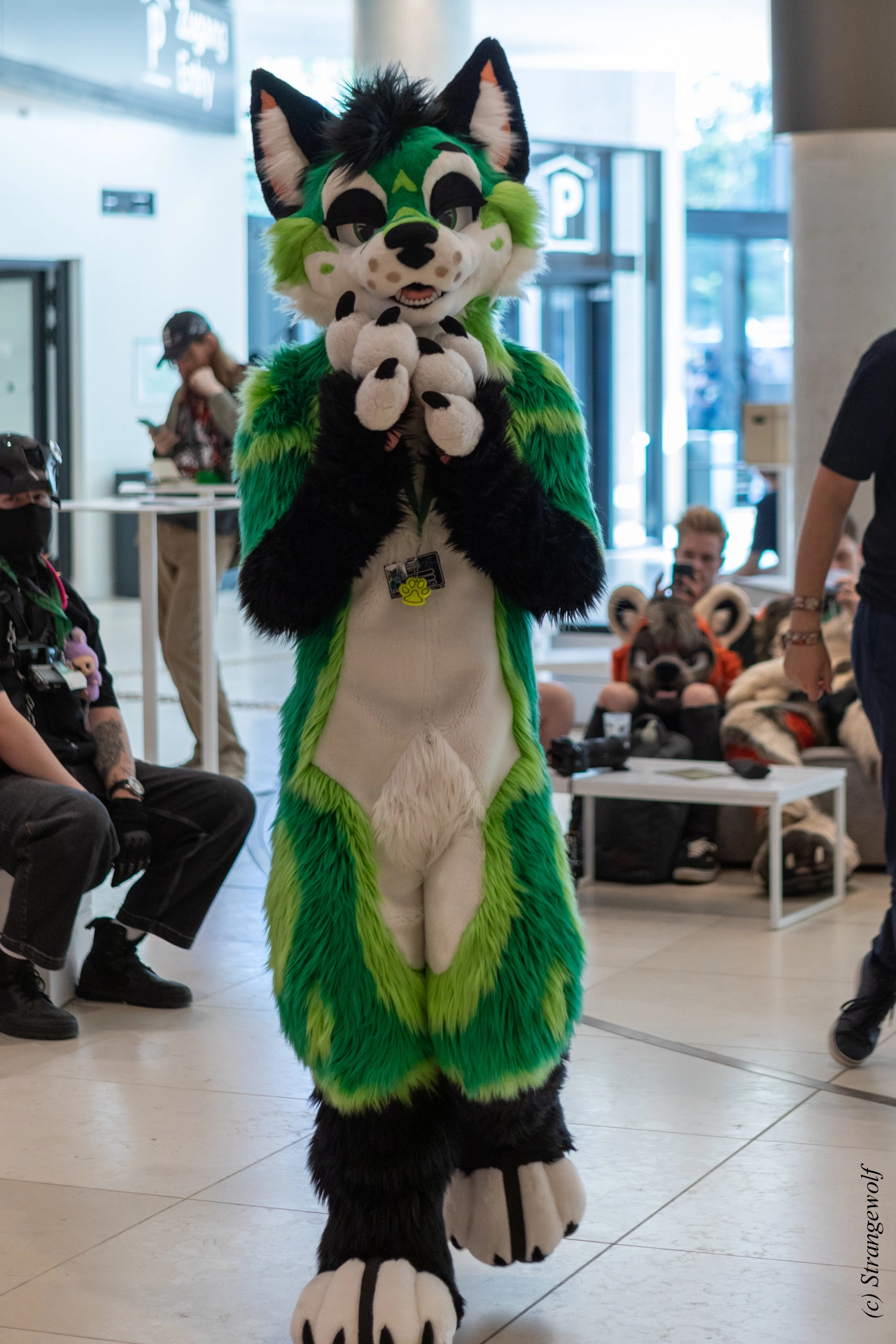 full image 1R3A9235-lr19t.jpg