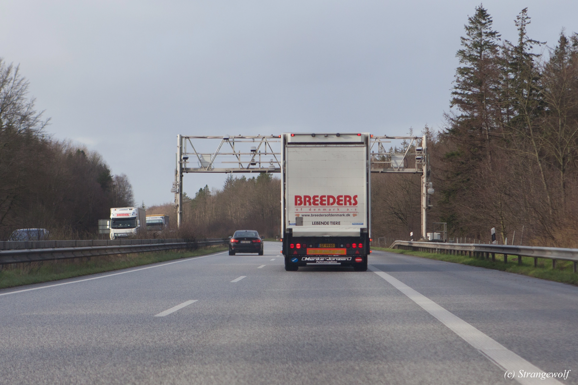 full image IMG_8211-lr19t.jpg