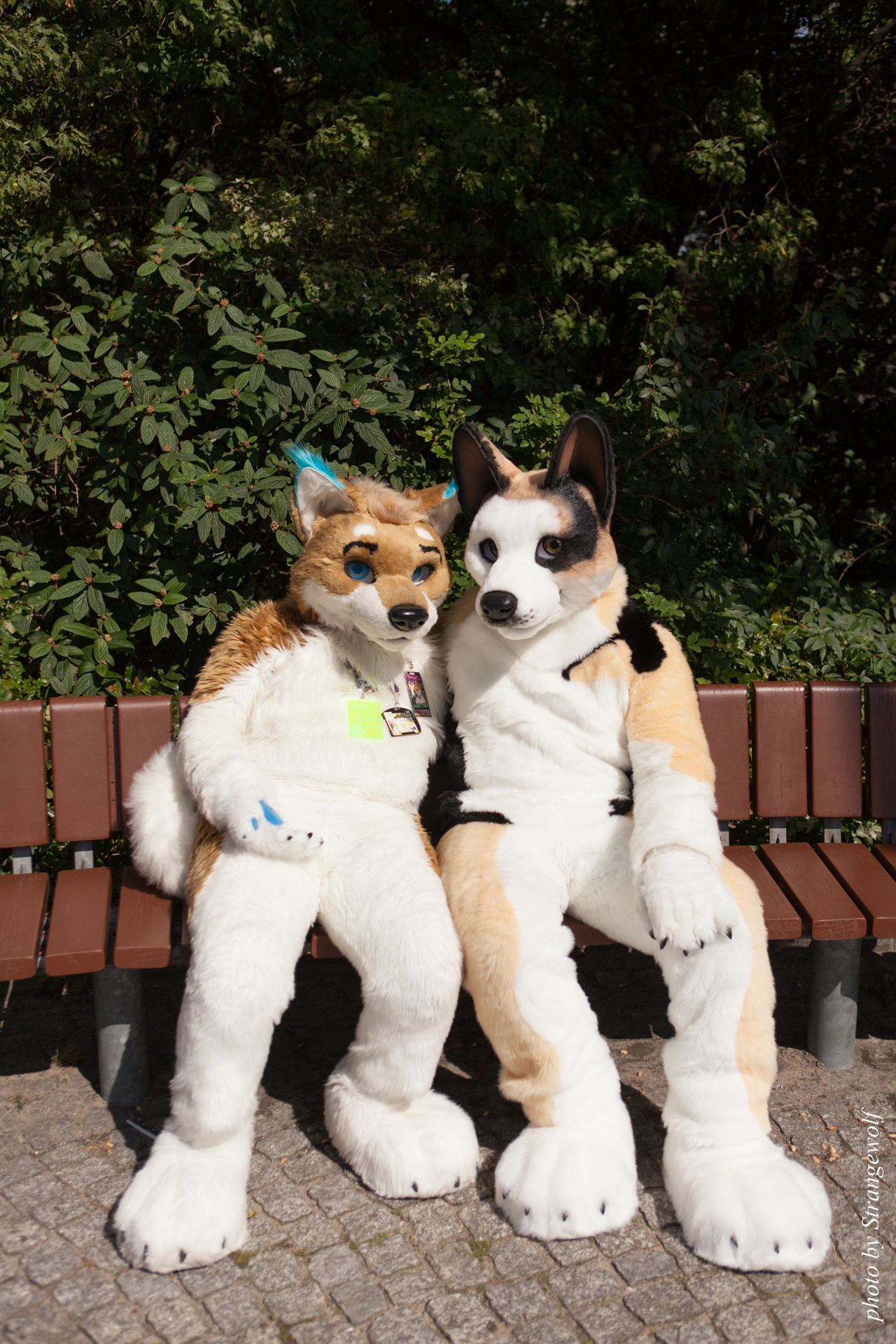full image IMG_7161-lr19t.jpg