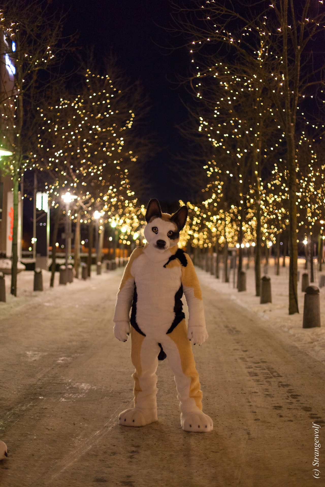 full image IMG_9279-lr19t.jpg