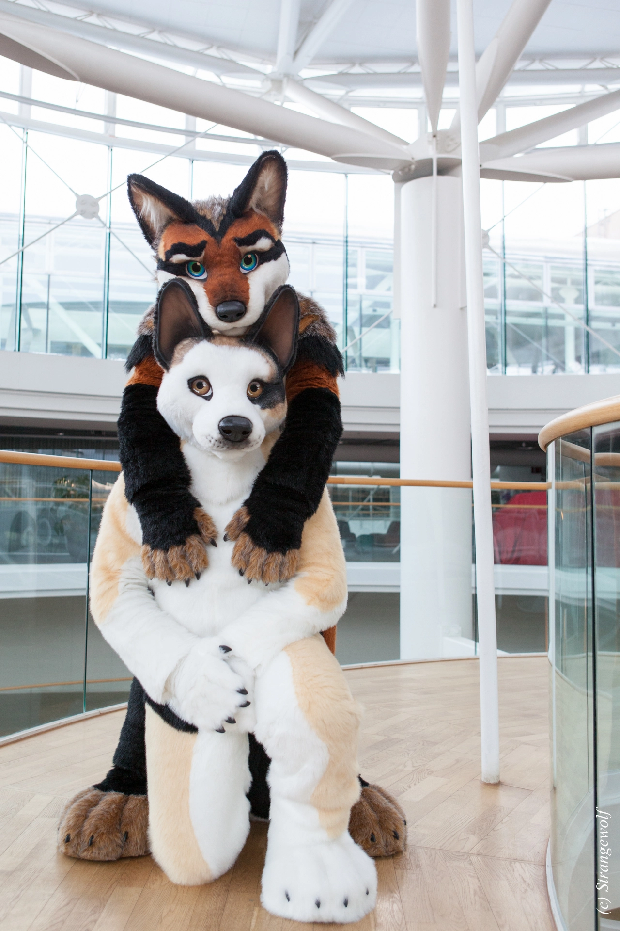 full image IMG_0496-lr19t.jpg