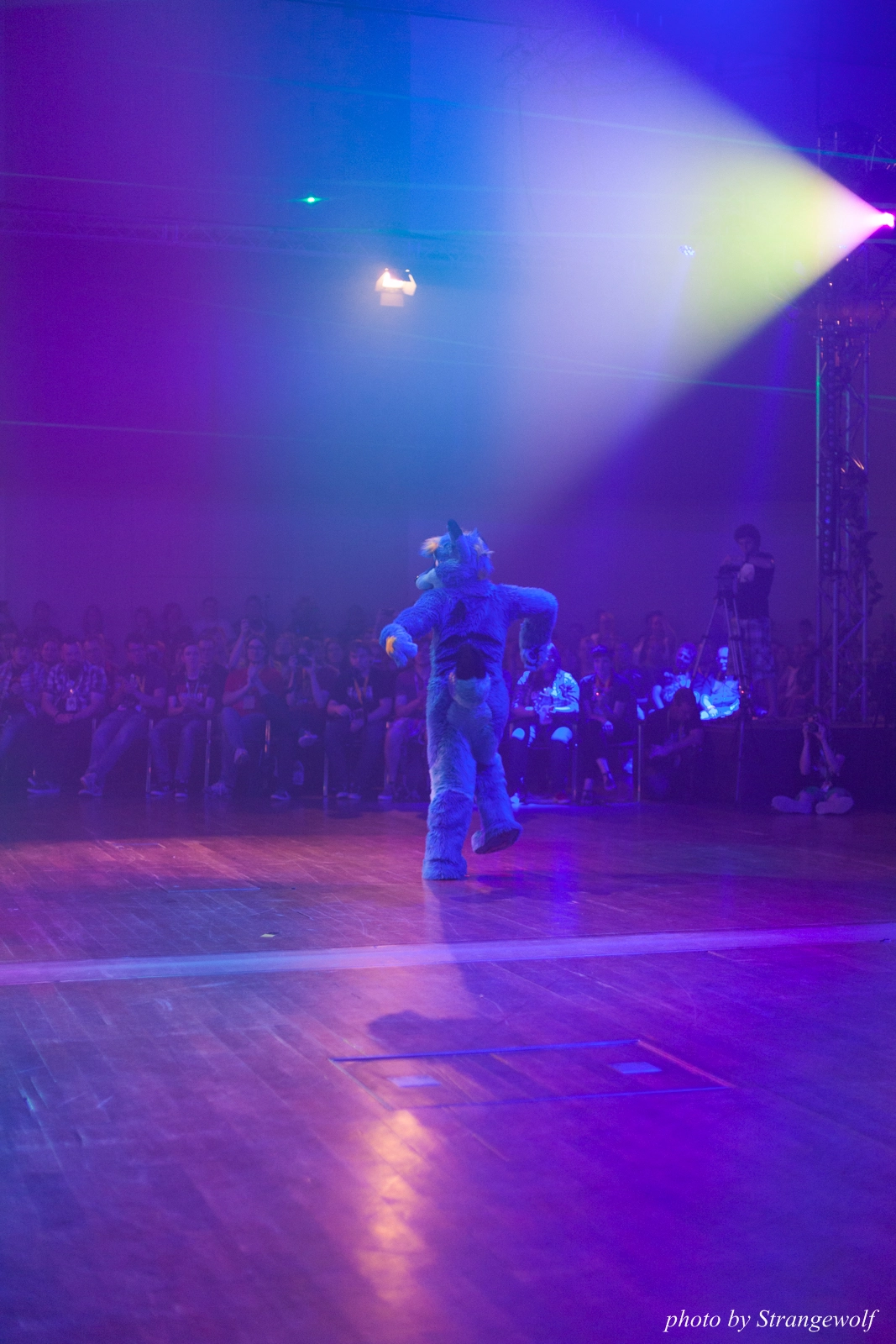 full image IMG_2798-lr16t.jpg