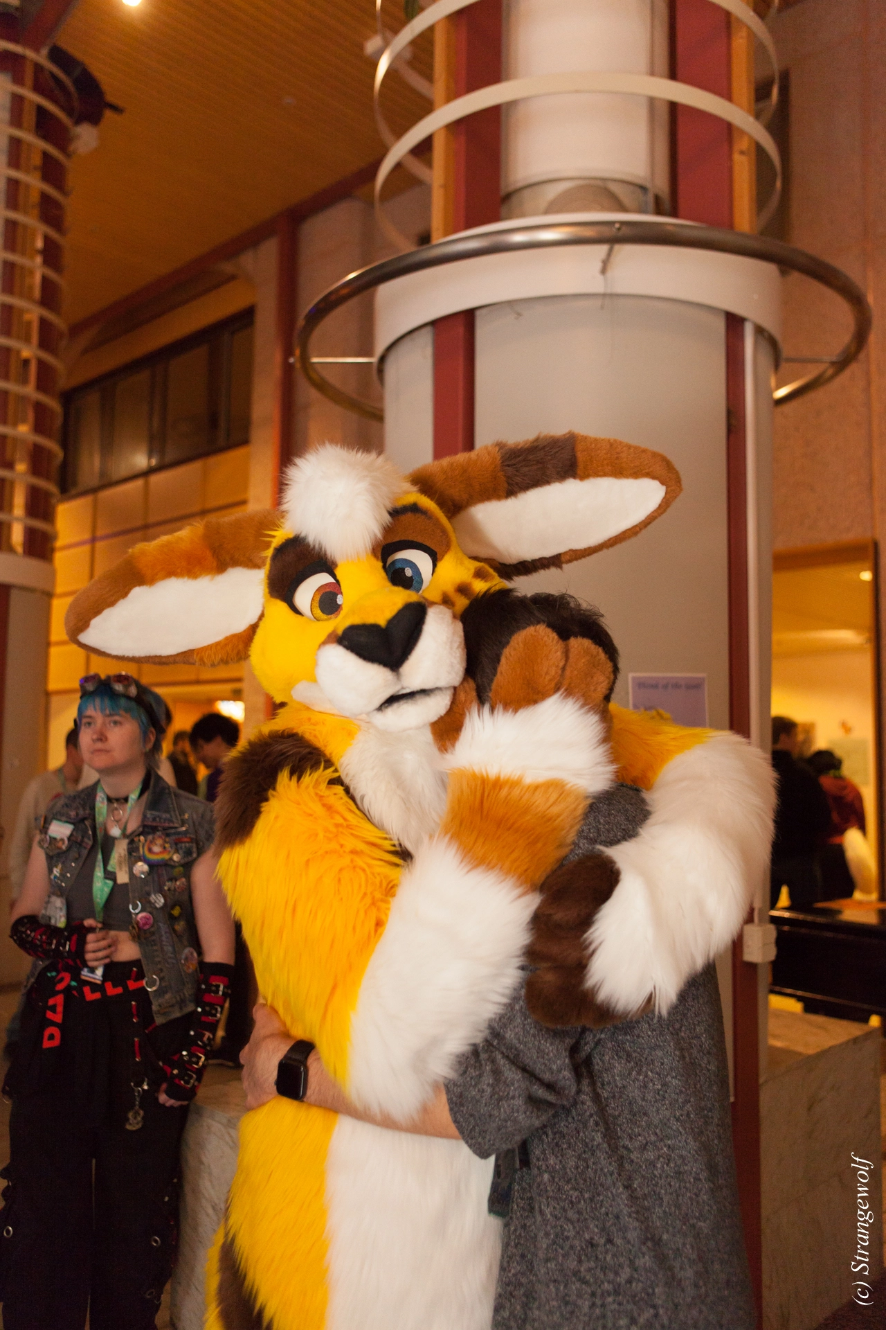 full image IMG_8937-lr19t.jpg