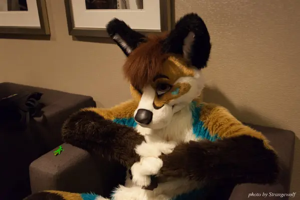 IMG_4150-lr16t.jpg of MFF/MFF2015/