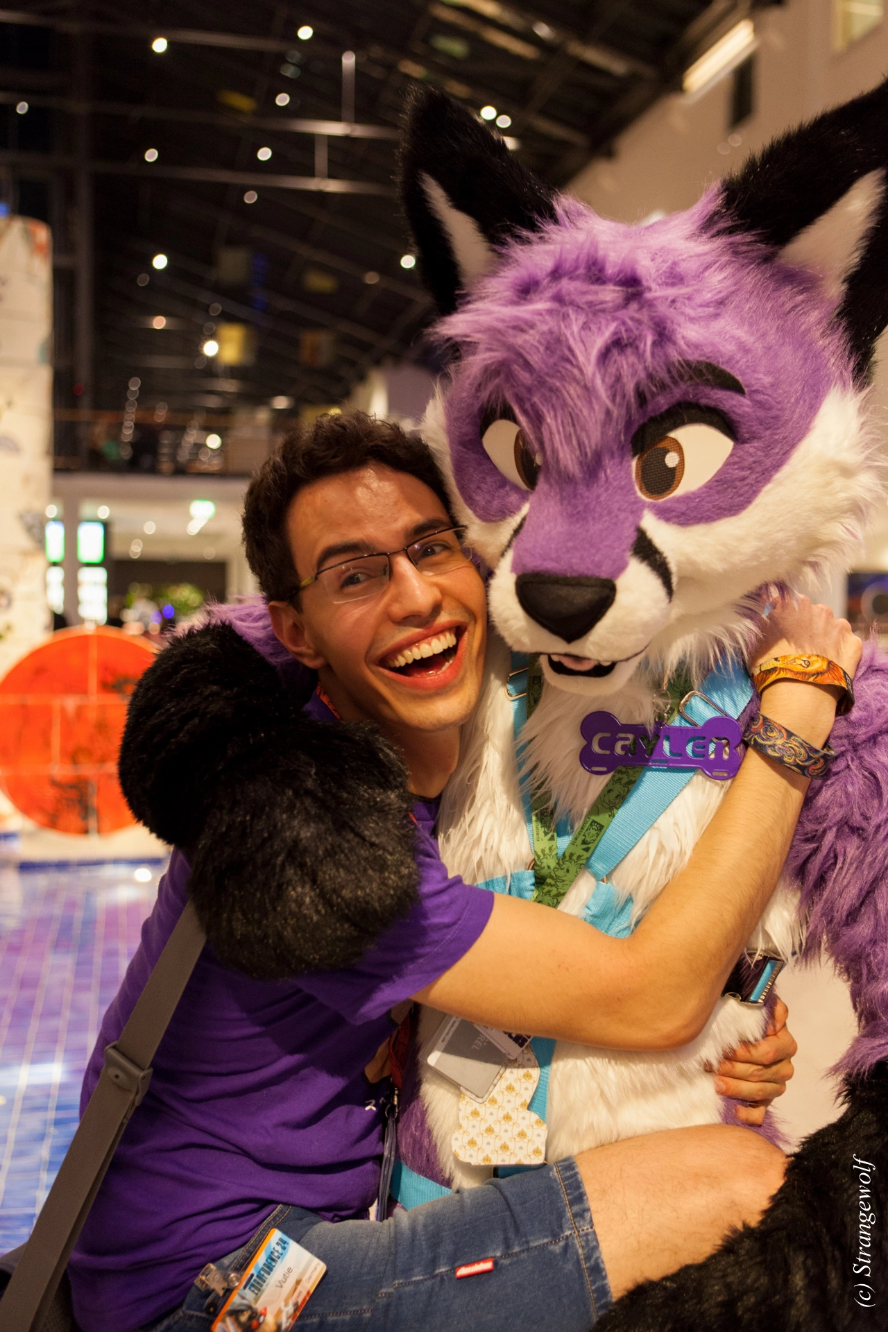 full image IMG_4828-lr19t.jpg