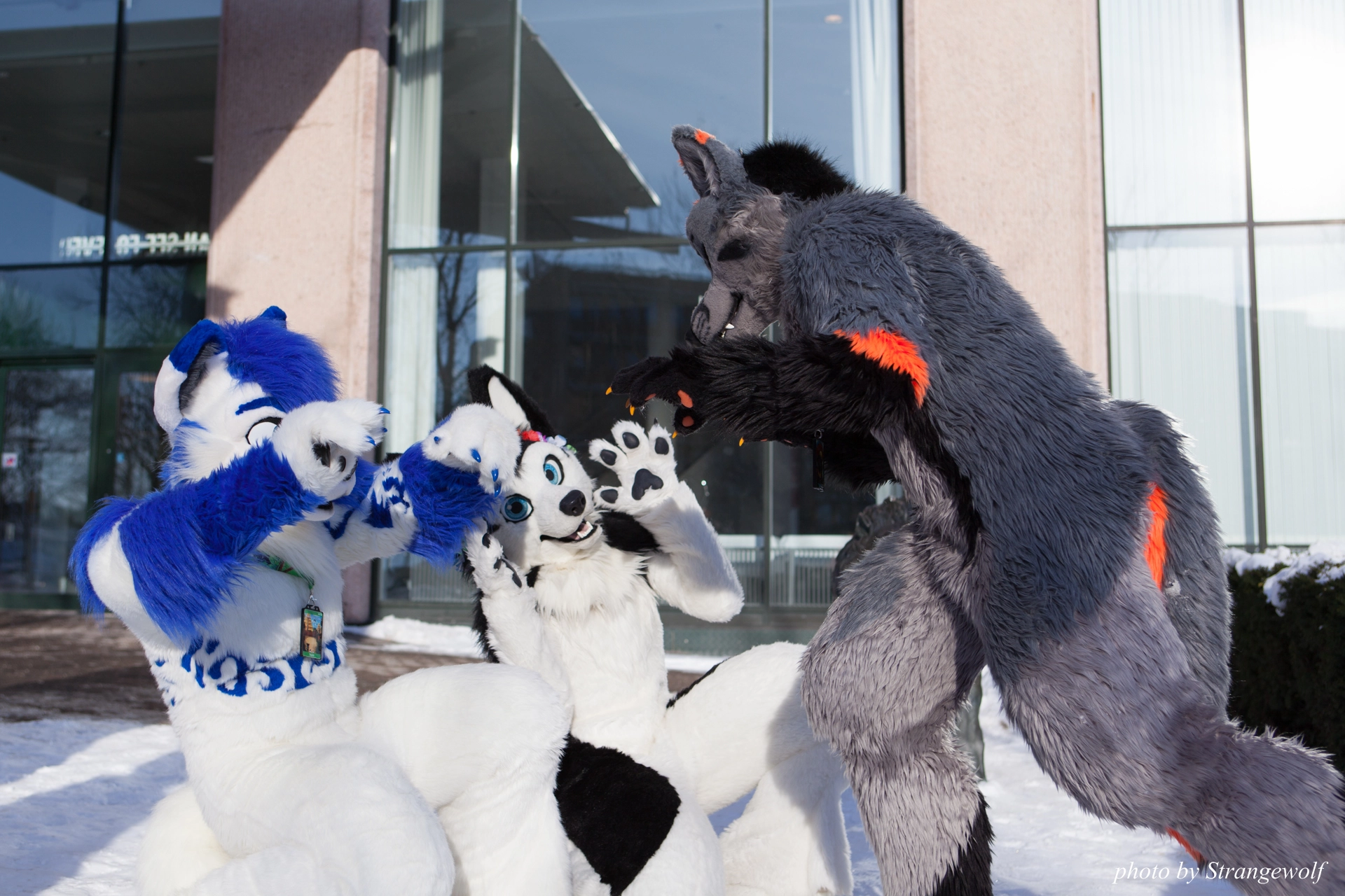 full image IMG_0113-lr19t.jpg