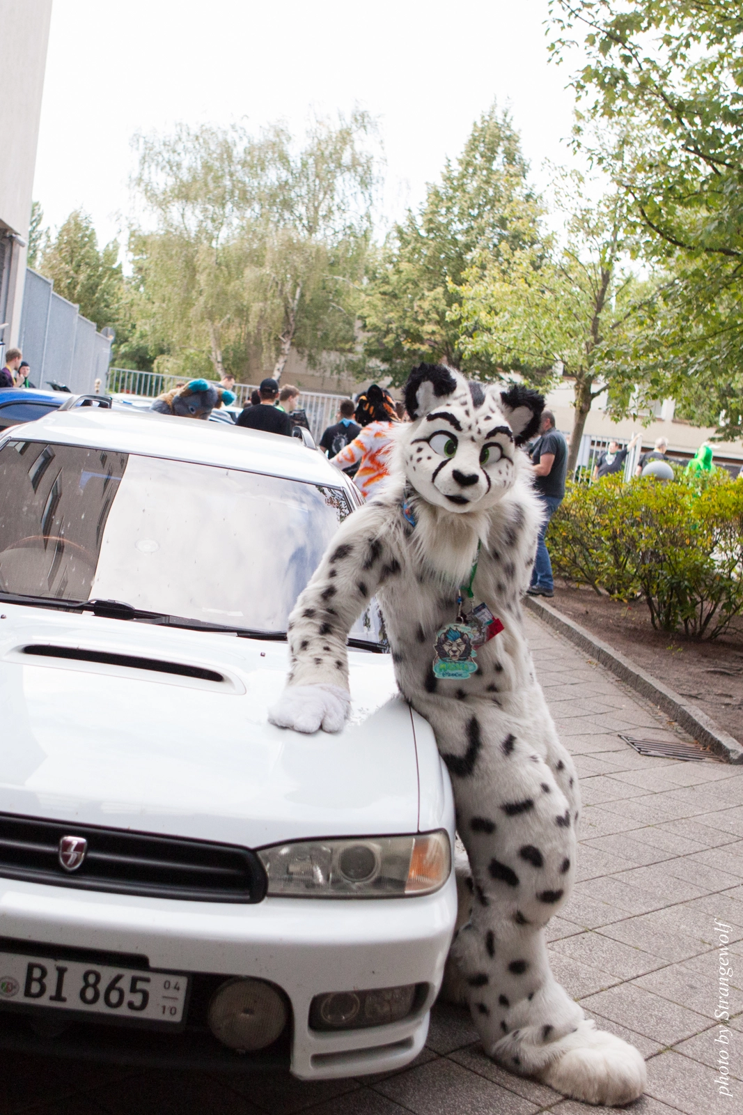 full image IMG_0065-lr16t.jpg