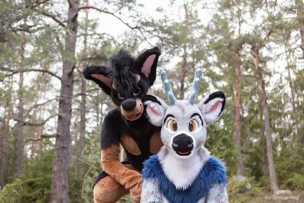 IMG_8675-lr19t.jpg of NFC/NFC2019/Shoot-Strife_Carlito/