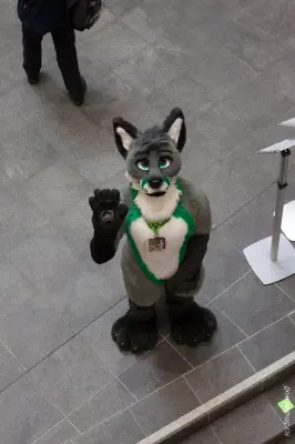 IMG_8277-lr19t.jpg of NFC/NFC2020/