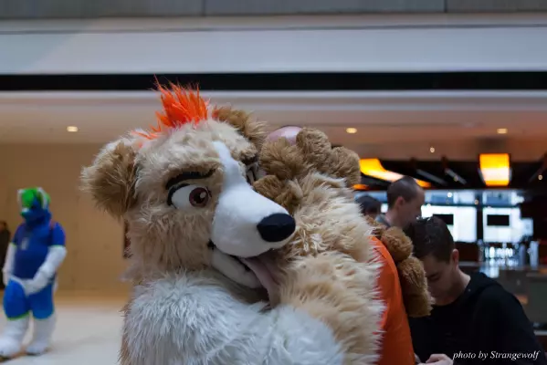 IMG_0697-lr16t.jpg of MFF/MFF2016/