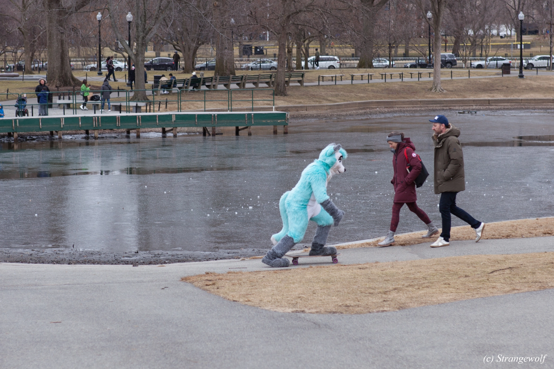 full image IMG_3295-lr19t.jpg