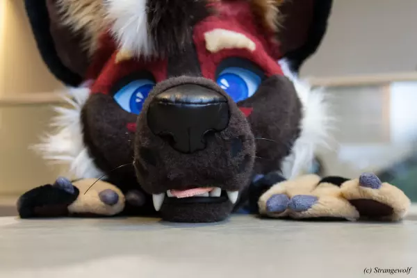IMG_3997-lr.jpg of TFF/TFF2022/