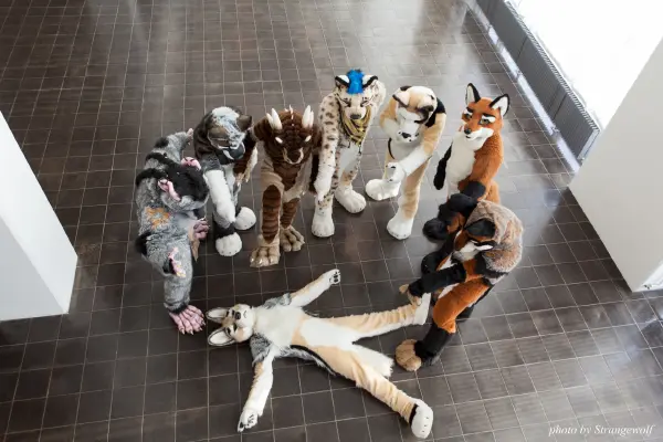 IMG_0379-lr19t.jpg of NFC/NFC2018/OFA-Shoot/