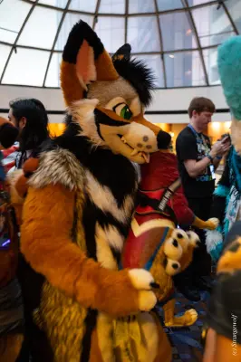 1R3A0233-lr19t.jpg of MFF/MFF2025/