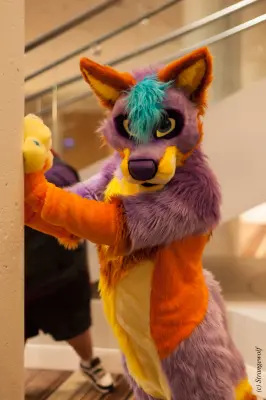 IMG_1796-lr19t.jpg of FWA/FWA2018/