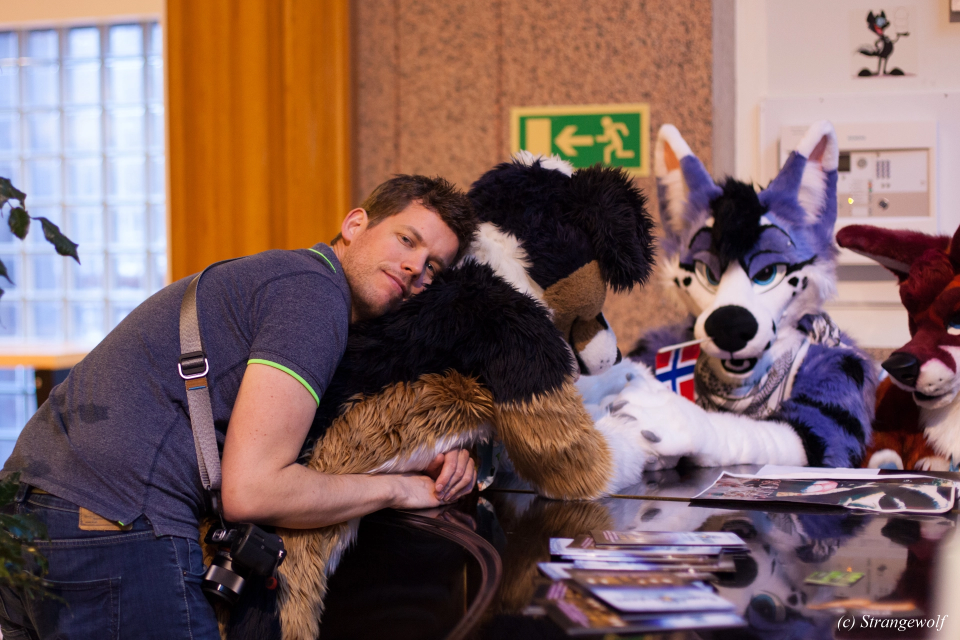 full image IMG_9590-lr19t.jpg