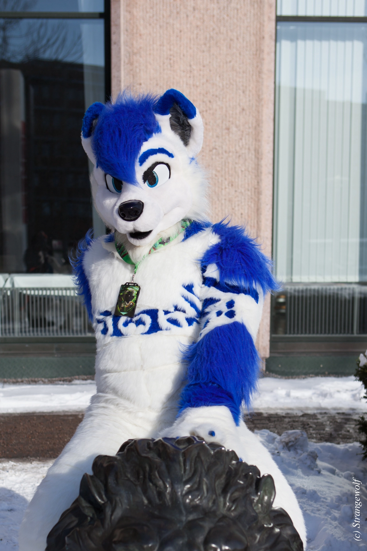 full image IMG_9718-lr19t.jpg