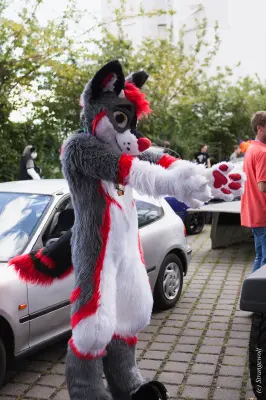 IMG_6939-lr19t.jpg of EF/EF23/