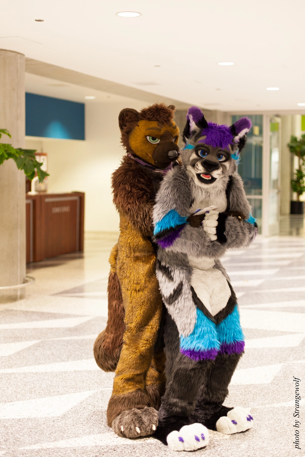 full image IMG_1127-lr16t.jpg