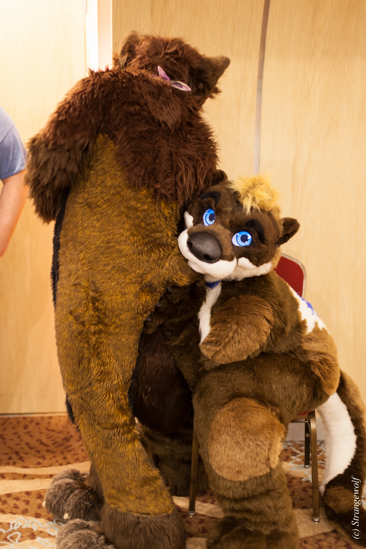 full image IMG_3325-lr19t.jpg