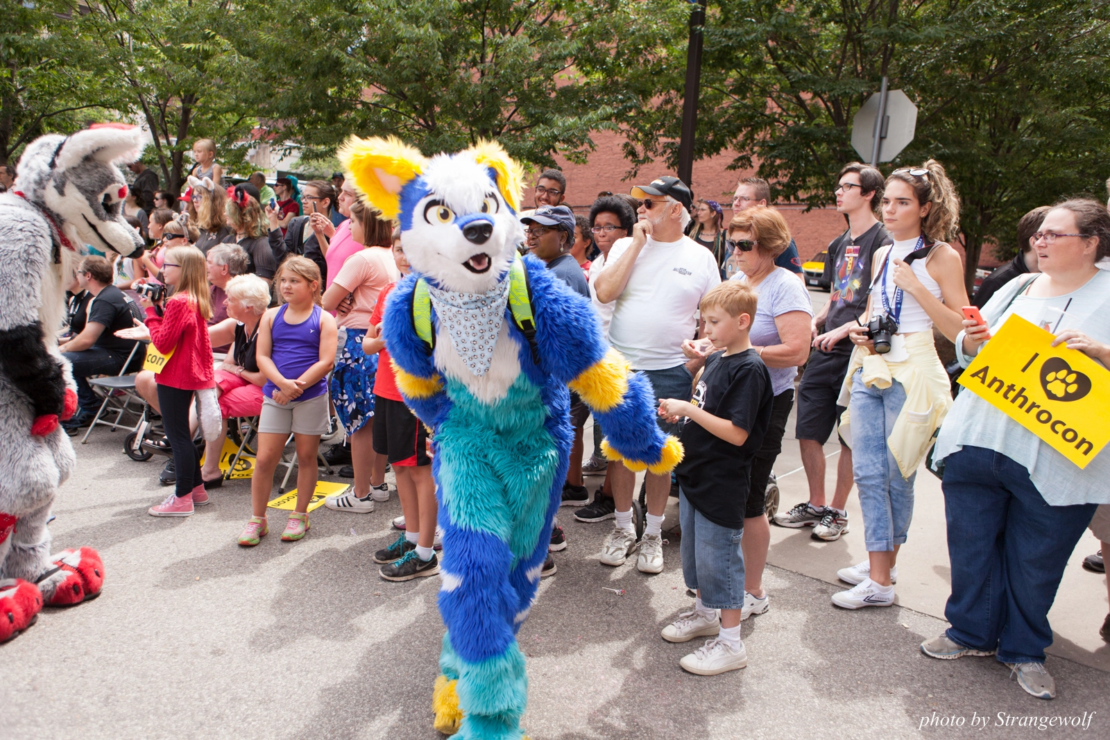 full image IMG_8074-lr16t.jpg