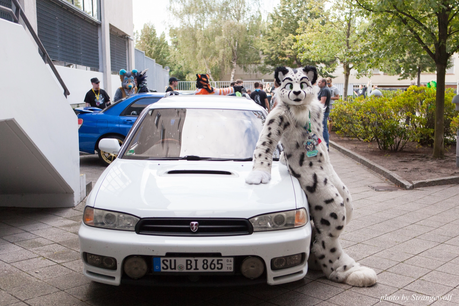 full image IMG_0064-lr16t.jpg