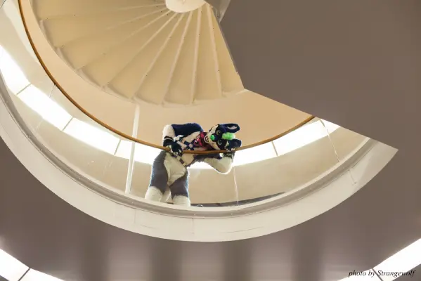 IMG_1887-lr16t.jpg of NFC/NFC2017/