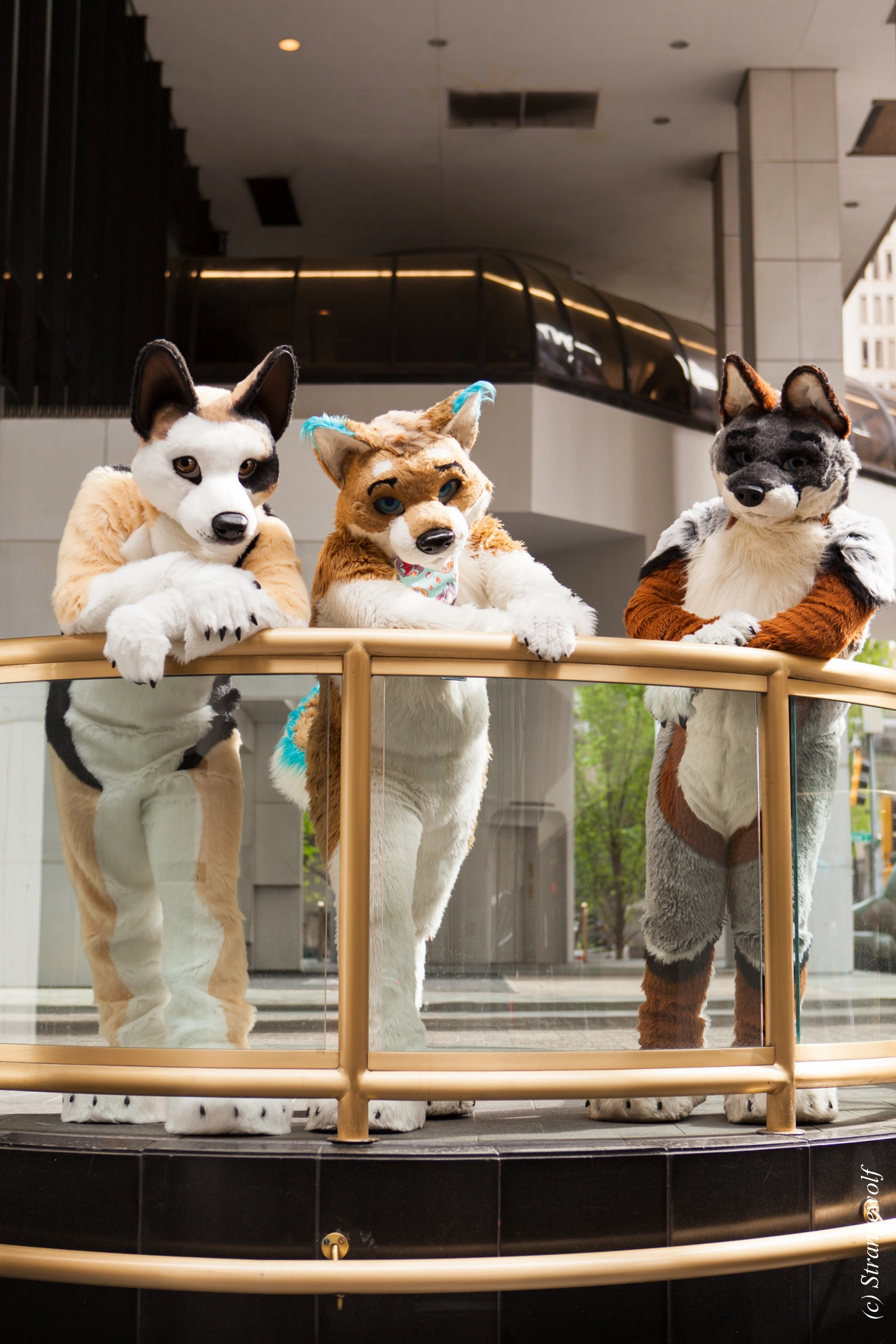 full image IMG_1698-lr19t.jpg