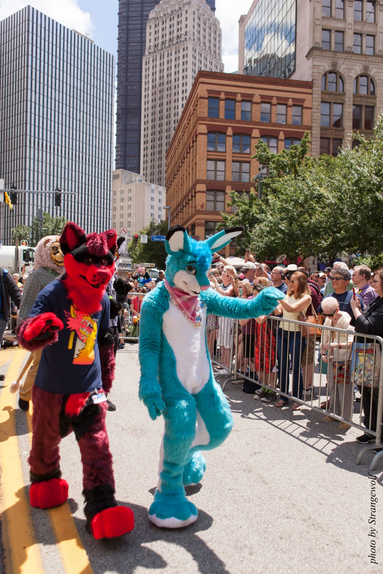 full image IMG_4407-lr19t.jpg