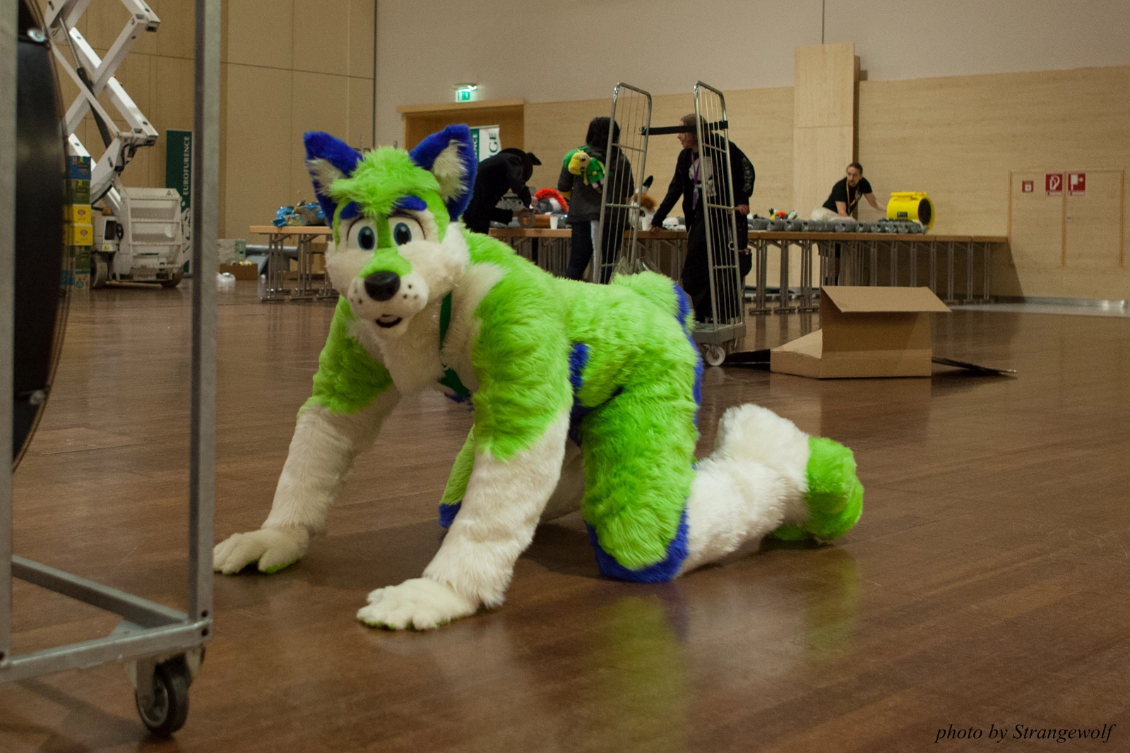 full image IMG_1371-lr16t.jpg