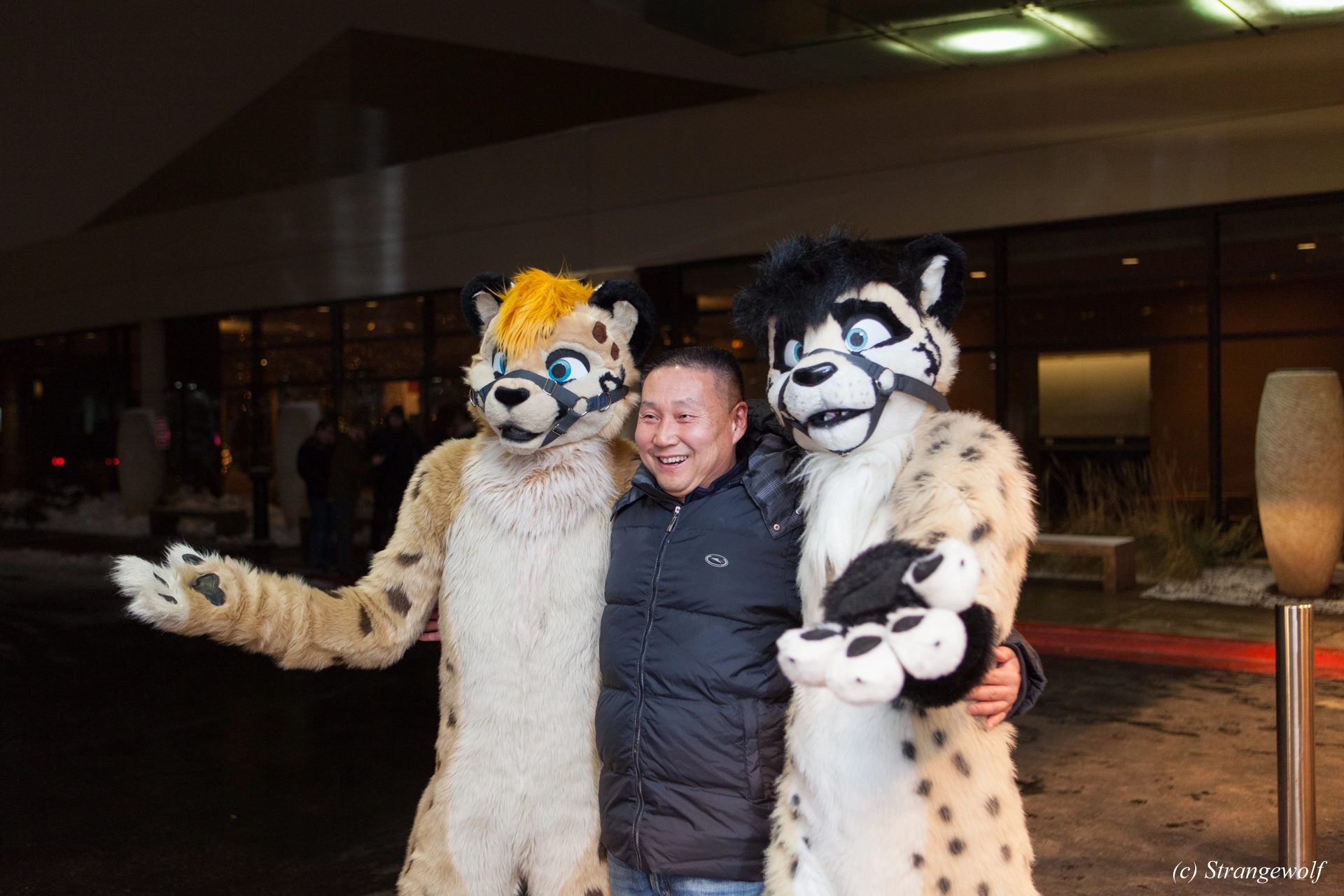 full image IMG_6973-lr19t.jpg