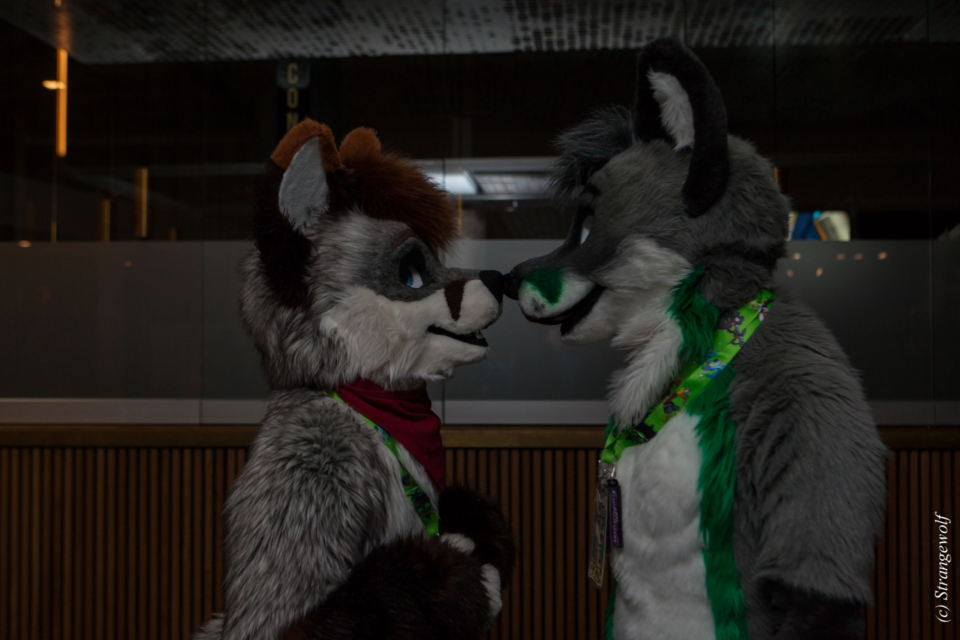 full image IMG_8231-lr19t.jpg