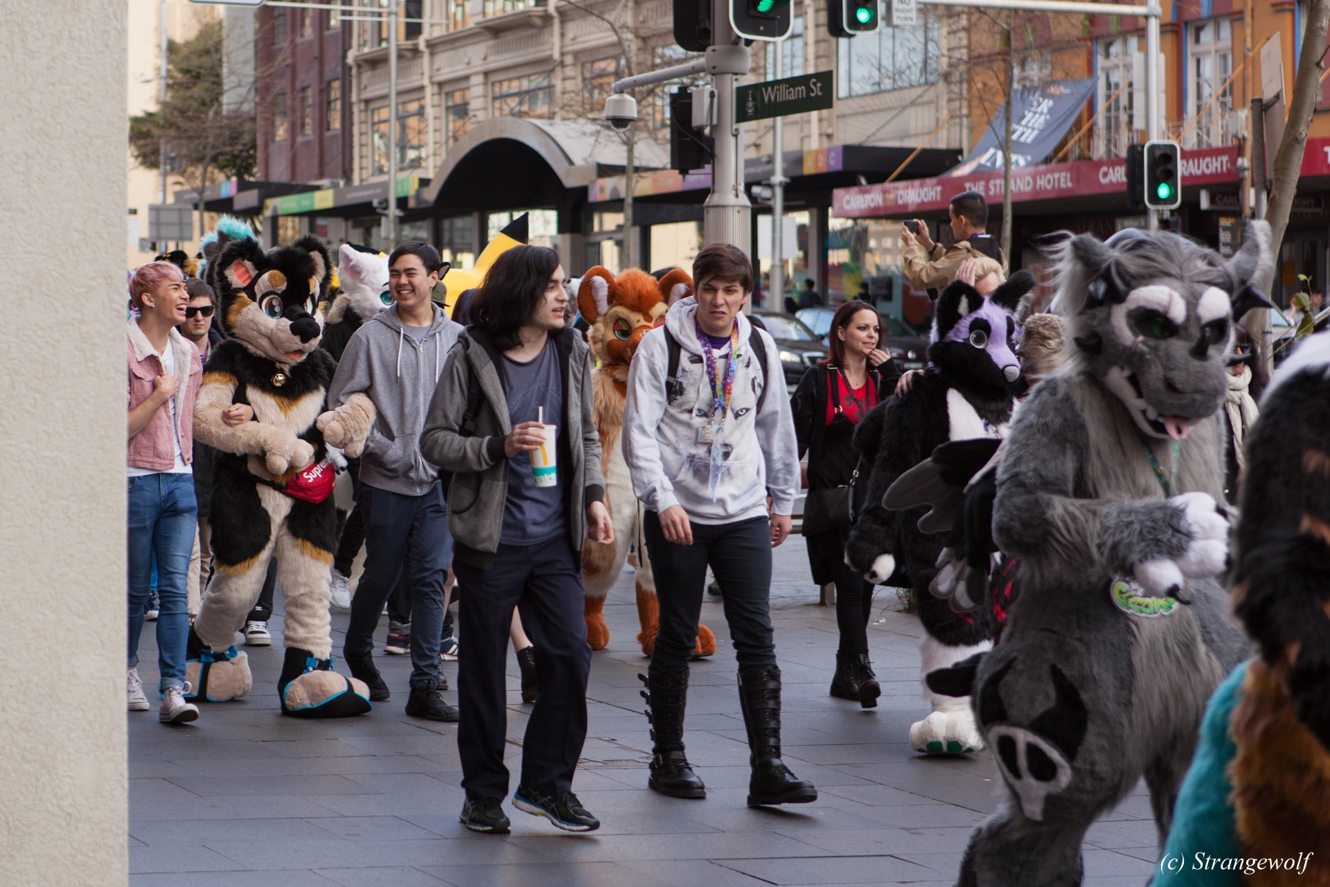 full image IMG_4604-lr19t.jpg